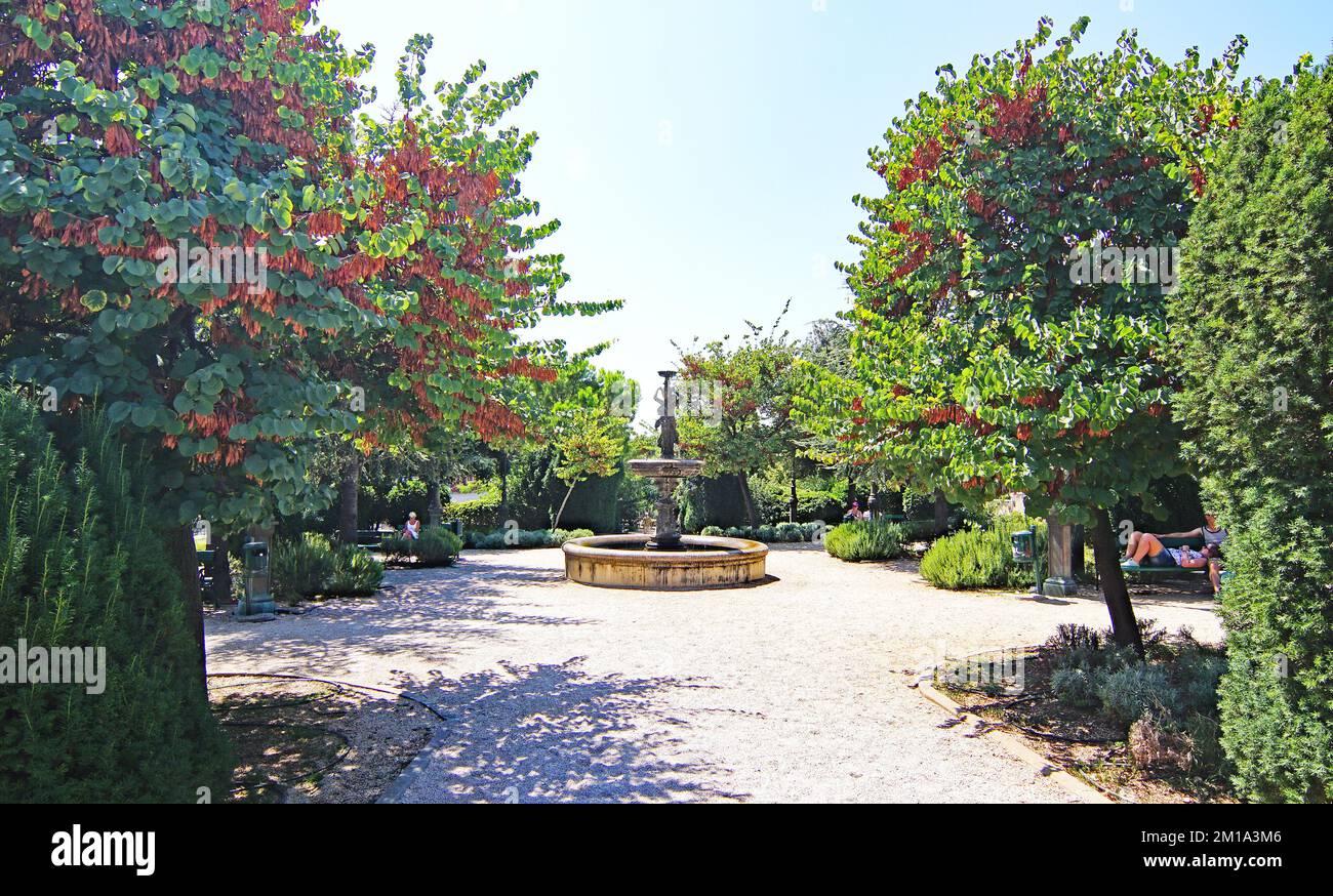 Vista di giardini, strade e vicoli di Zara, Dalmazia in Croazia, Europa Foto Stock