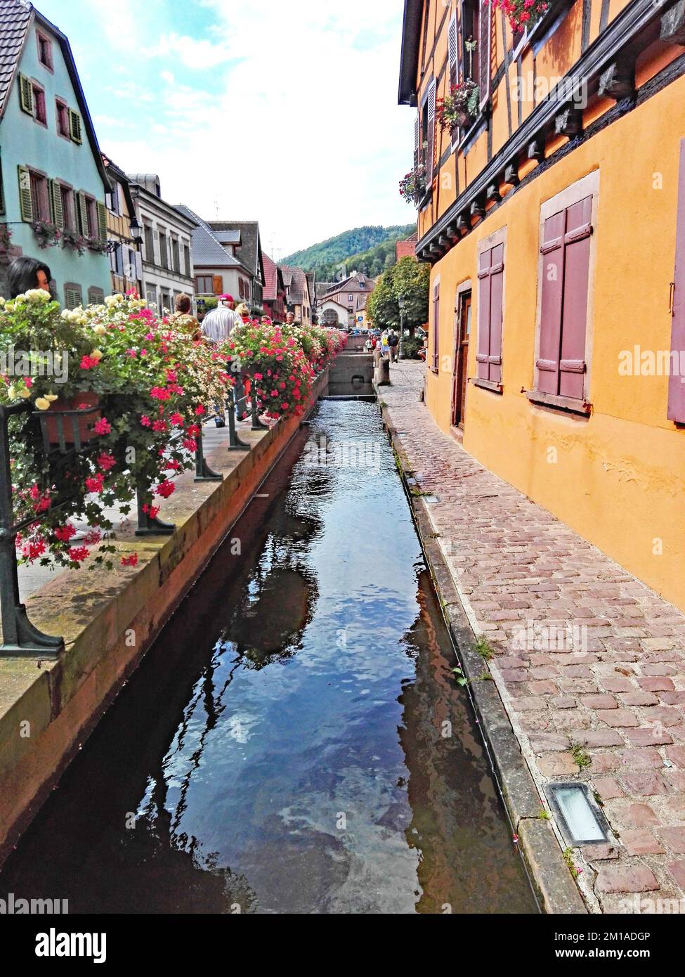 Colmar nella regione del Grande Oriente, Francia, Europa Foto Stock