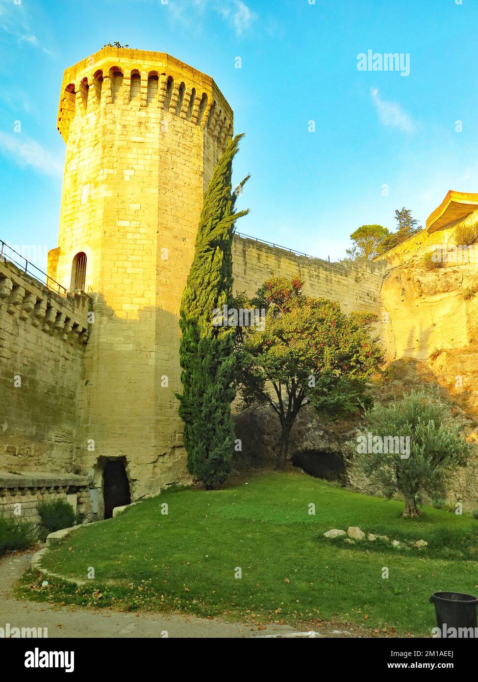 Palazzo dei Papi ad Avignone; comune francese, capitale del dipartimento Vaucluse, nella regione Provenza-Alpi-Côte Azzurra, Francia, Europa Foto Stock