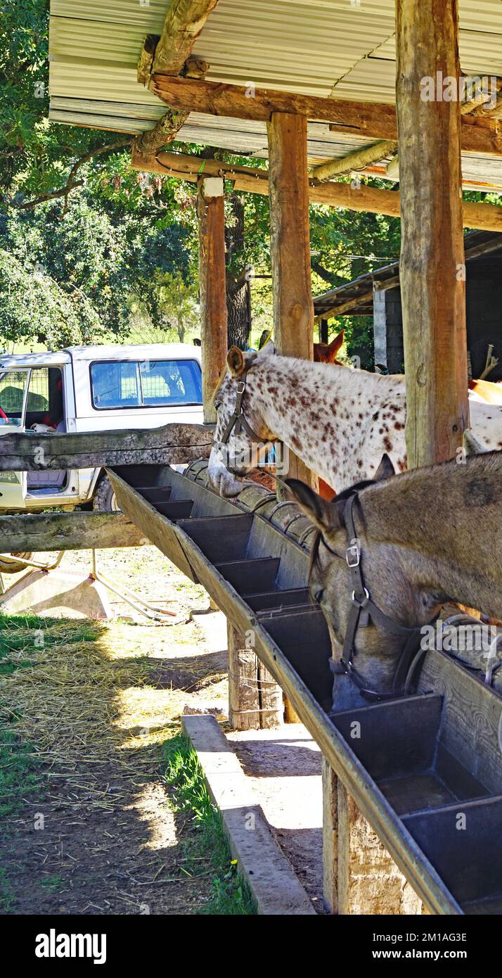 Scuderie a Sarvisé, comune di Broto, Comarca del Sobrarbe, Huesca, Aragona, Spagna, Europa Foto Stock