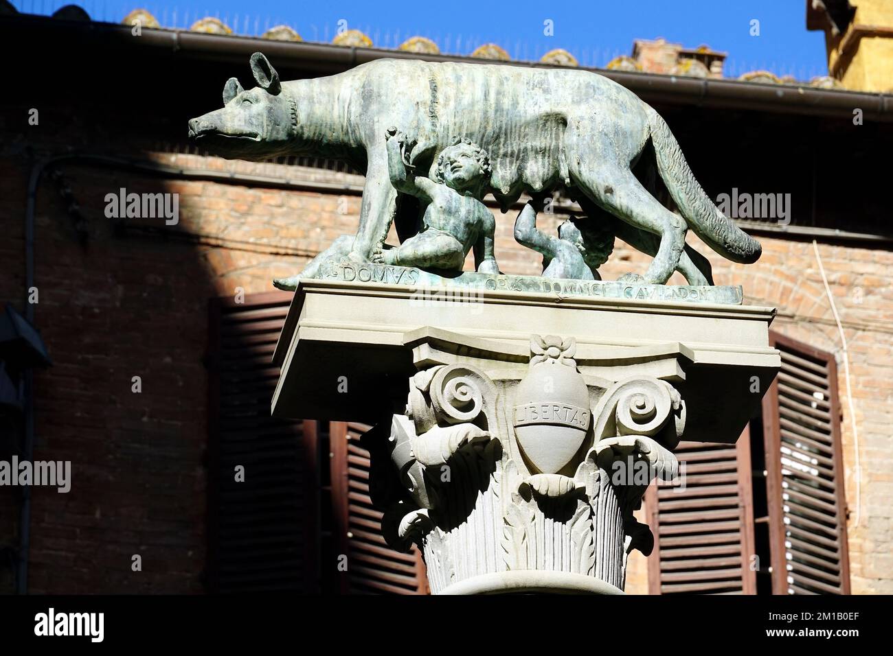 Colonna con Lupa Senese, colonna con Lupa, Siena, Toscana, Italia, Europa Foto Stock