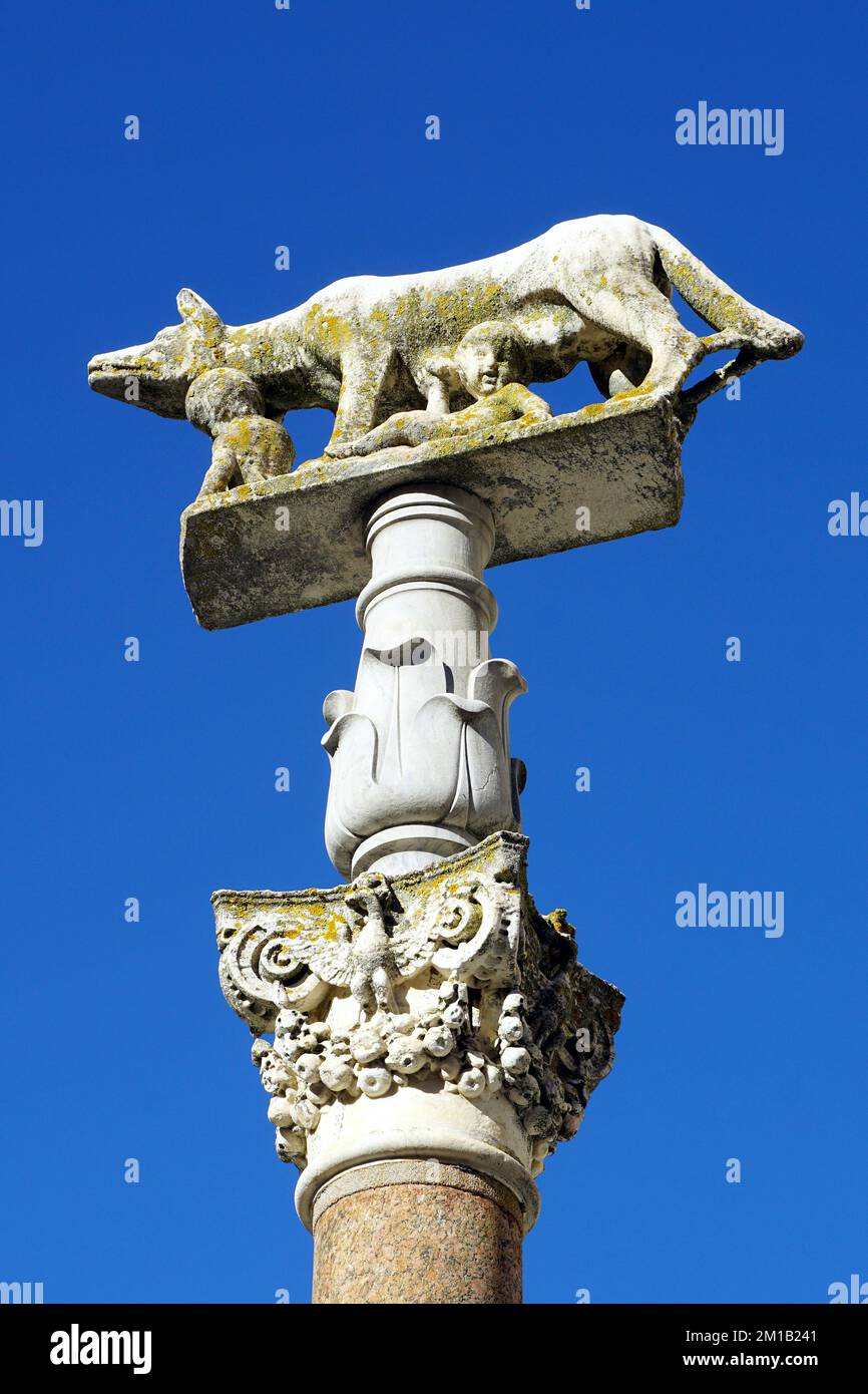 Statua della Lupa con i gemelli, Statua del Lupo con i gemelli, Siena, Toscana, Italia, Europa Foto Stock