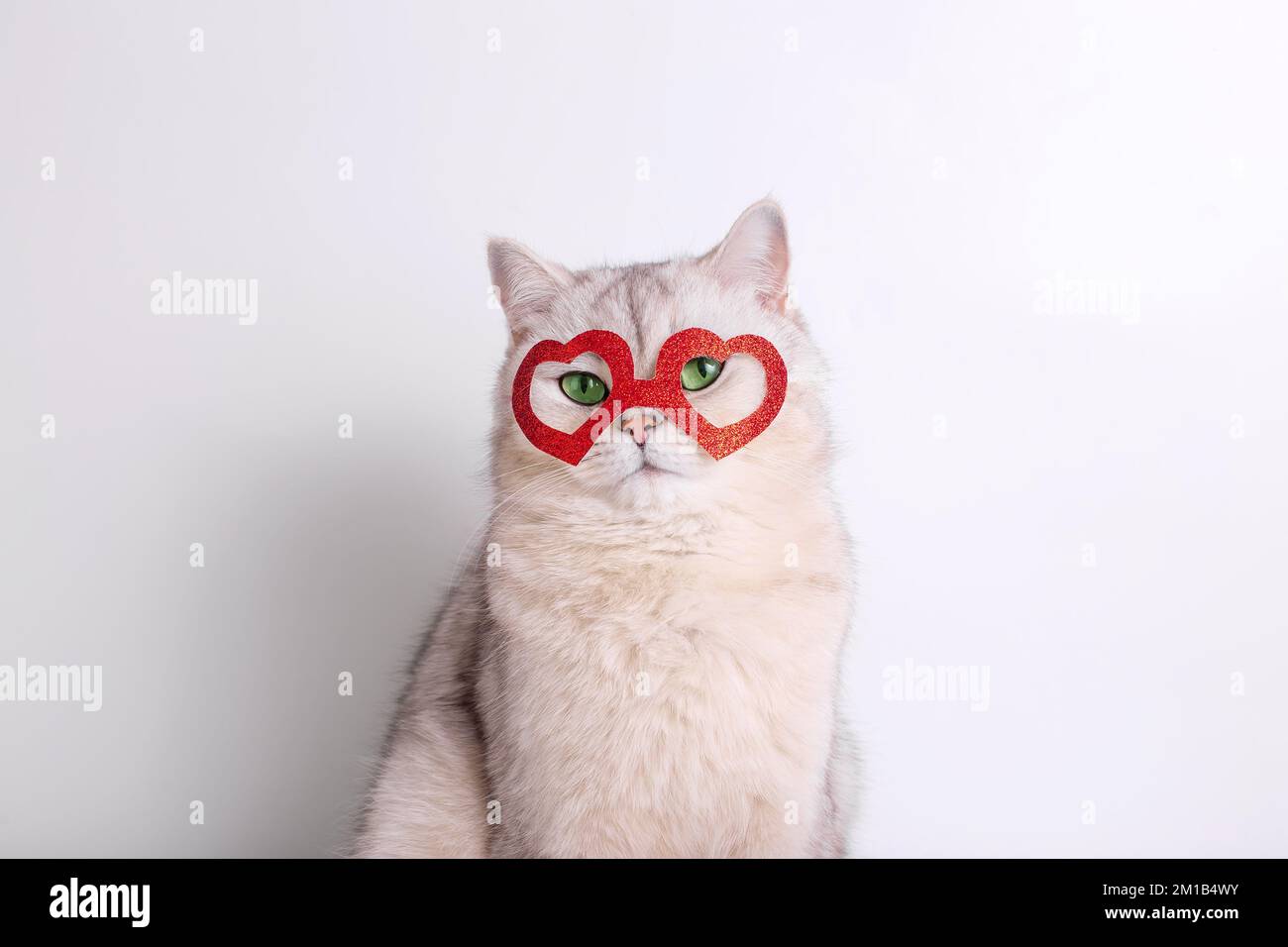 Ritratto di un carino gatto bianco in una maschera rossa a forma di cuori Foto Stock