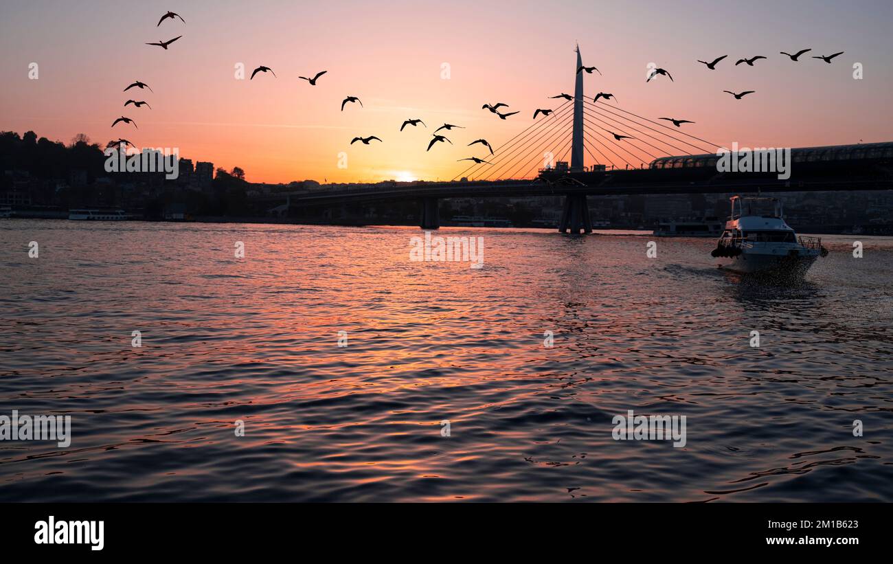 Bellissimo tramonto, ore d'oro, Golden Horn ponte della metropolitana e la vista del Corno d'oro a Istanbul, il tramonto, gli uccelli che si dirigono verso il sole, Foto Stock