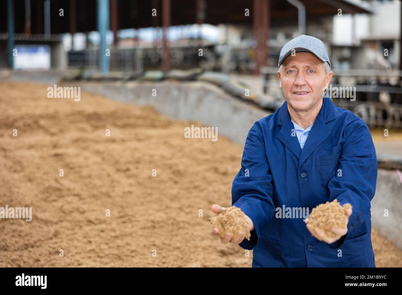 Coltivatore positivo con mazzo di grano speso del birwer Foto Stock