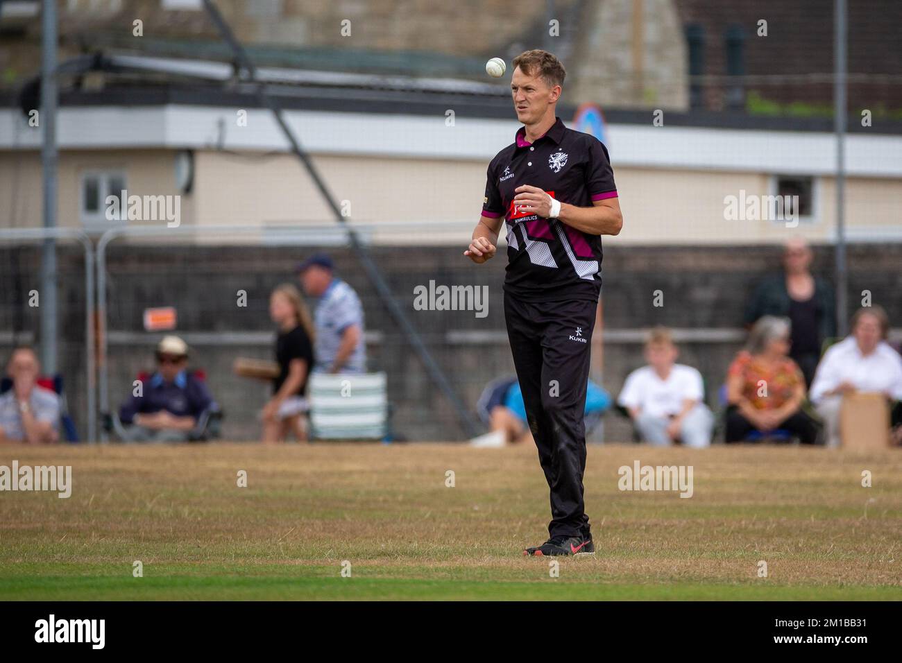 Il giocatore di cricket Max Waller del Somerset CCC in una partita Foto Stock