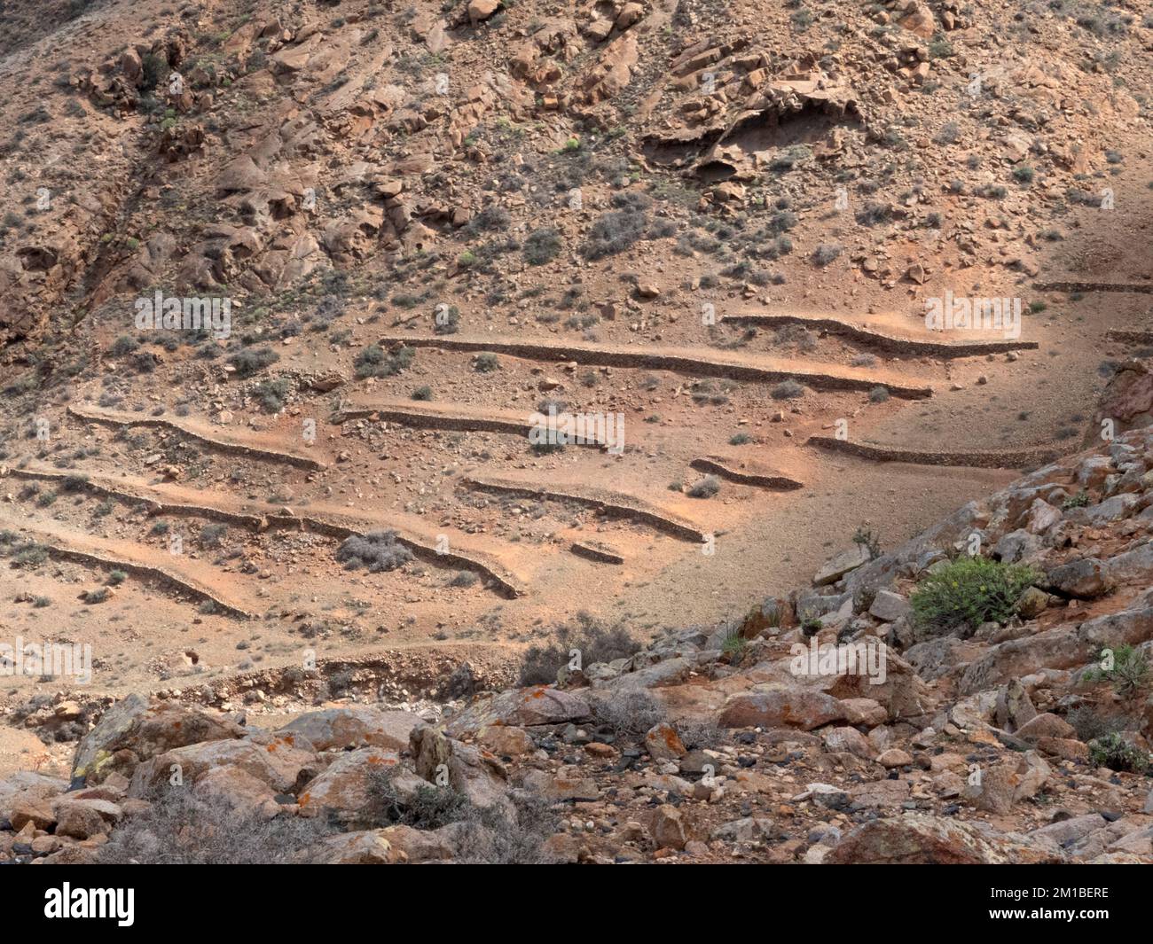 Fuerteventura - paesaggio all'interno dell'isola vicino a Betancuria Foto Stock