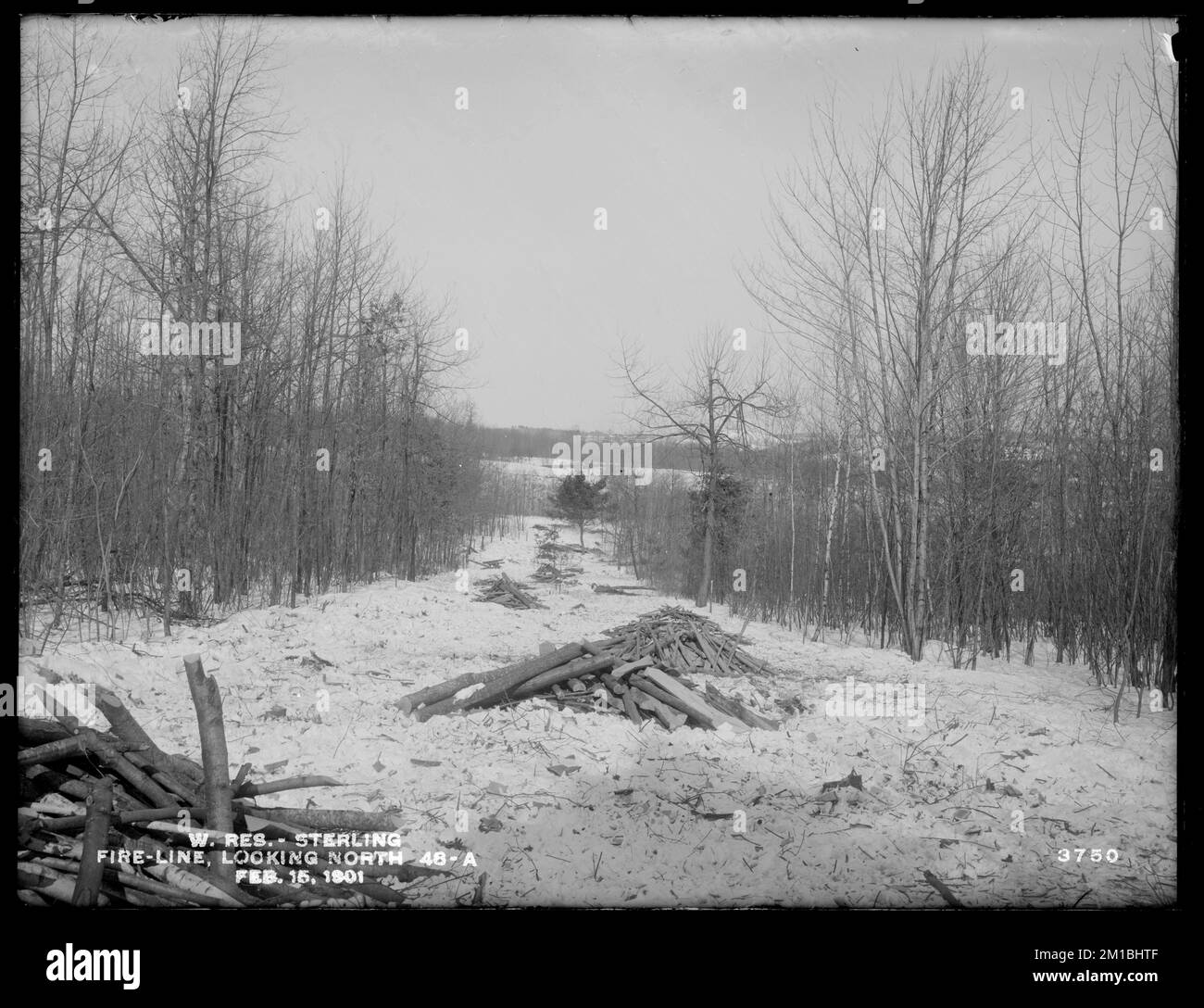 Serbatoio di Wachusett, guardando verso nord lungo la linea di fuoco 48A, Sterling, Mass., 15 febbraio 1901 , acquedotto, serbatoi strutture di distribuzione di acqua, silvicoltura Foto Stock