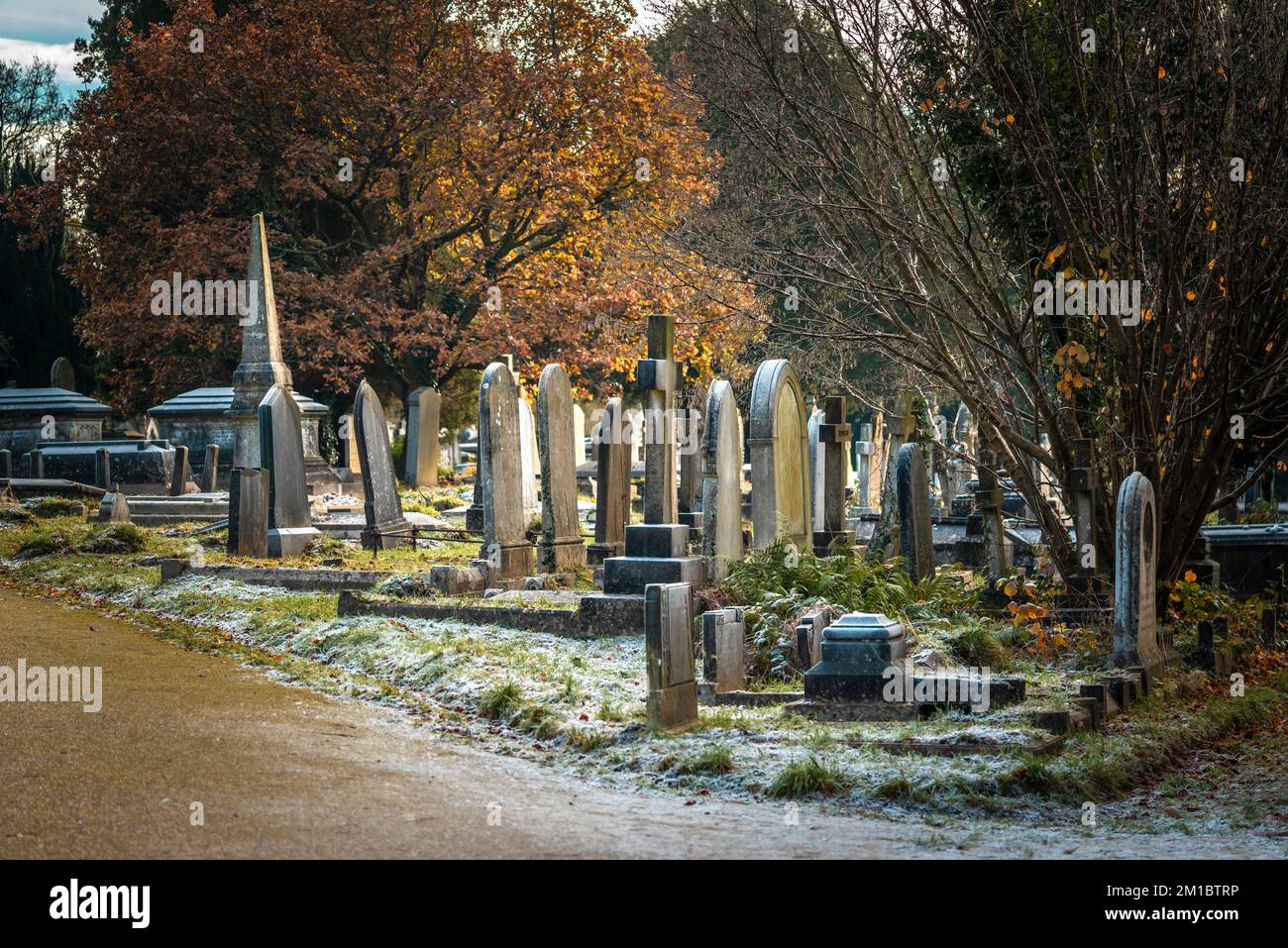 Lapidi del 19th ° secolo su tombe a Southampton Old Cemetery durante una mattinata gelida nel dicembre 2022, Southampton, Hampshire, Inghilterra, Regno Unito Foto Stock