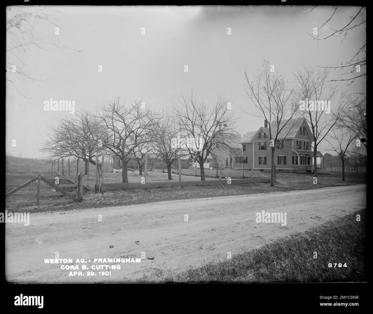 Weston Aqueduct, Cora B. Cutting's Property, Looking Southwesterly, Framingham, Mass., 29 aprile, 1901 , acquedotti, immobiliare Foto Stock