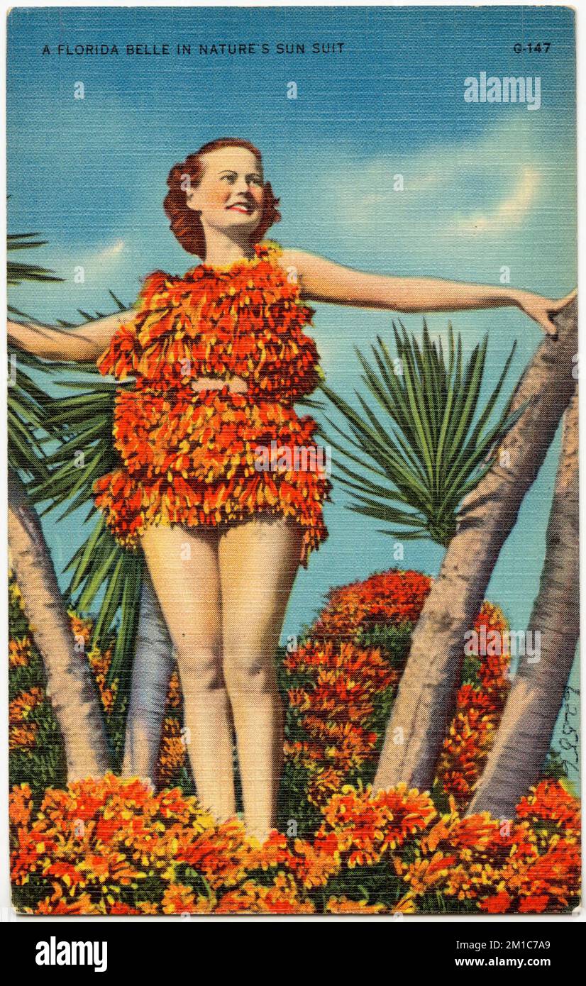 Una bella Florida in costume da sole della natura, Tichnor Brothers Collection, cartoline degli Stati Uniti Foto Stock