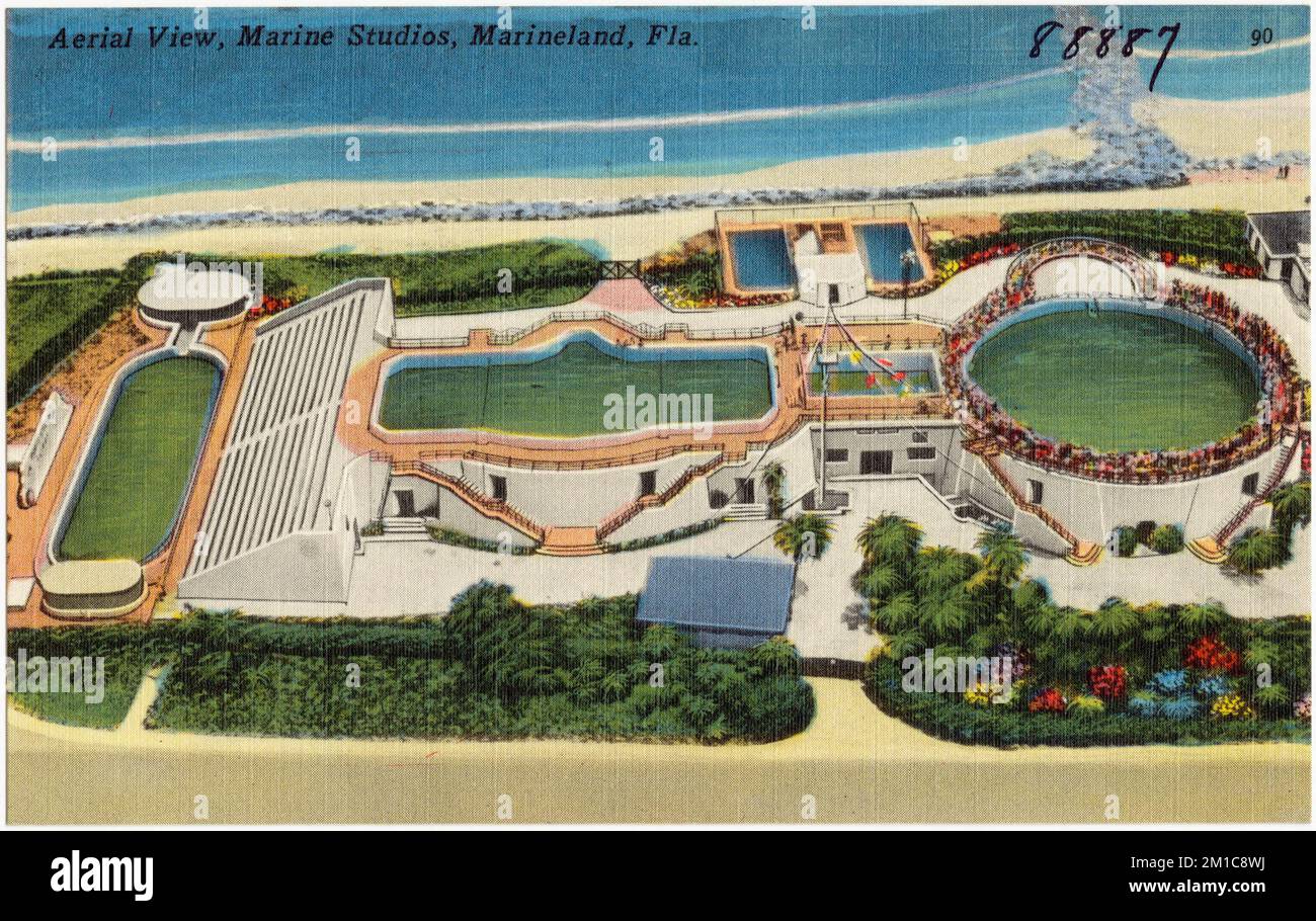 Vista aerea, Marine Studios, Marineland, Florida, Sport e strutture ricreative, Tichnor Brothers Collection, cartoline degli Stati Uniti Foto Stock