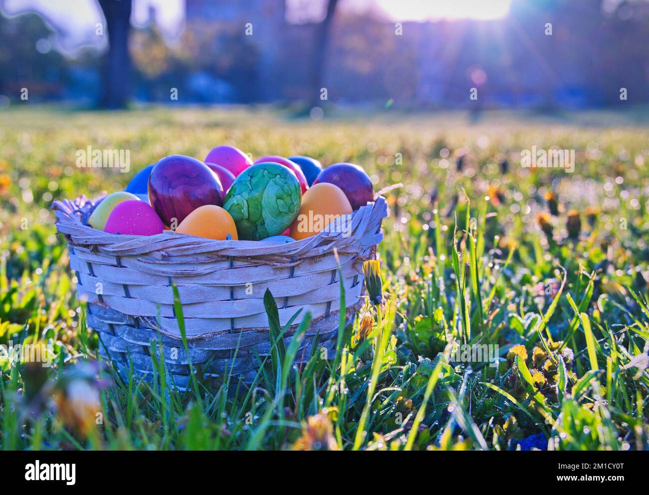 Uova di Pasqua in cestino di vimini sul prato verde Foto Stock