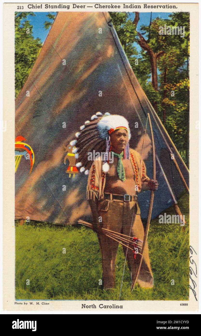 Capo Cervo - Cherokee Indian Reservation, North Carolina, Tichnor Brothers Collection, cartoline degli Stati Uniti Foto Stock