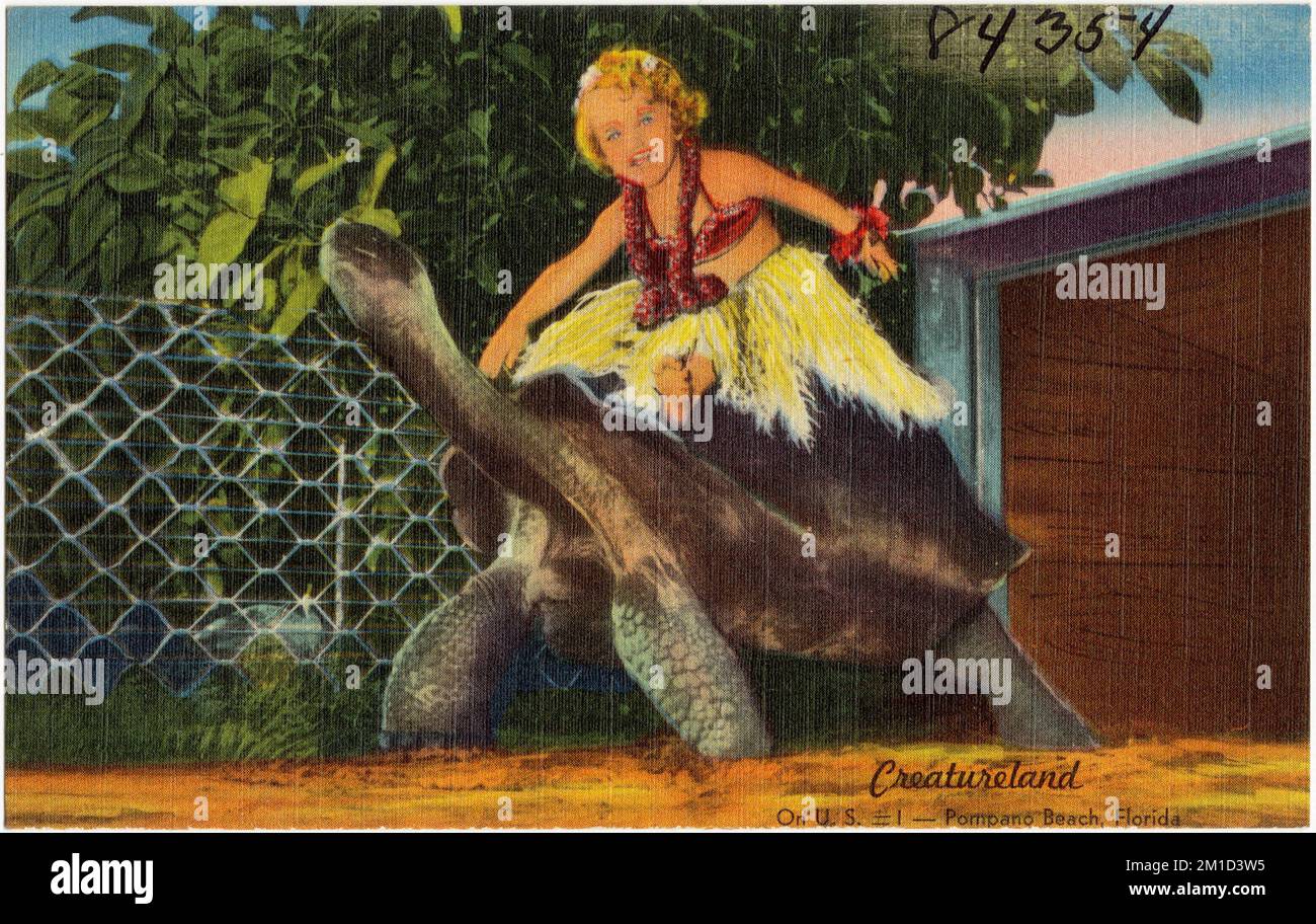 Creatureland, sulla US 1- Pompano Beach, Florida , Tichnor Brothers Collection, cartoline degli Stati Uniti Foto Stock