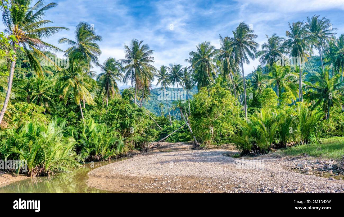 Vista ad ampio angolo di un letto di fiume secco circondato da una lussureggiante natura tropicale con uno sfondo montagnoso in una zona rurale di Mindoro i nelle Filippine. Foto Stock