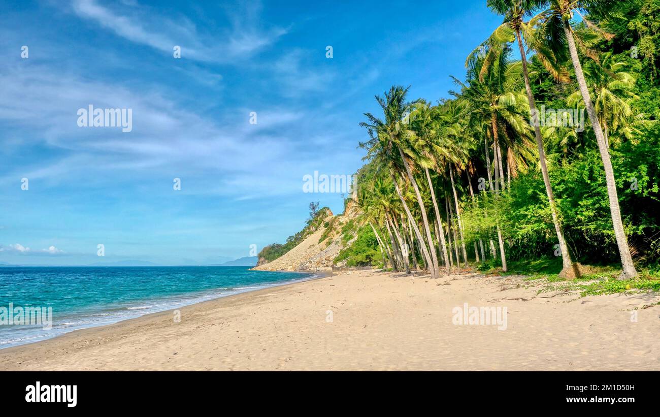 Una bella spiaggia non sviluppata fiancheggiata da palme da cocco e un mare blu calmo nella provincia occidentale di Mindoro nelle Filippine. Foto Stock