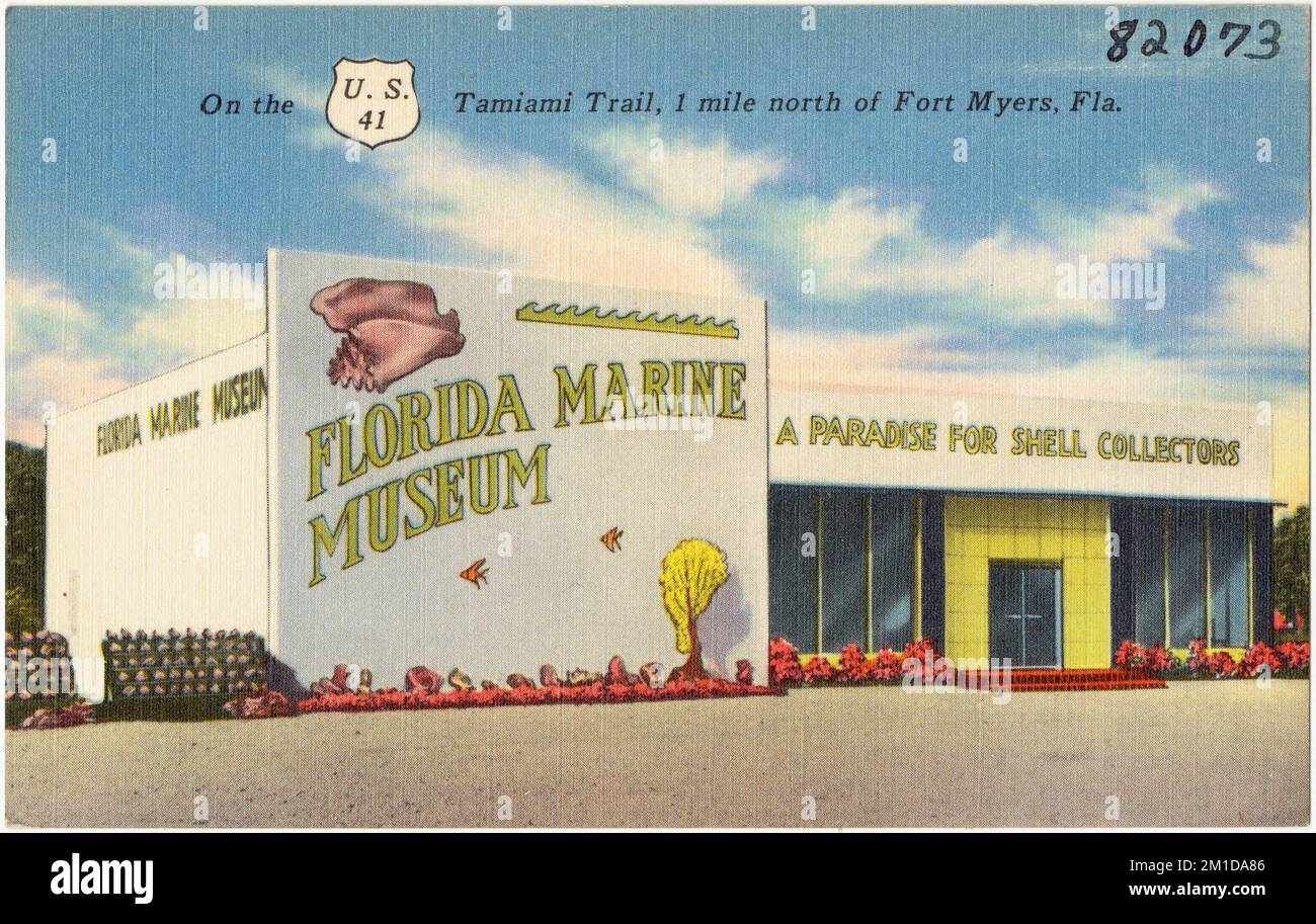 Florida Marine Museum, un paradiso per i collezionisti di conchiglie, sulla US 41 Tamiami Trail, 1 km circa a nord di Fort Myers, Florida. , Gallerie e musei, Tichnor Brothers Collection, cartoline degli Stati Uniti Foto Stock