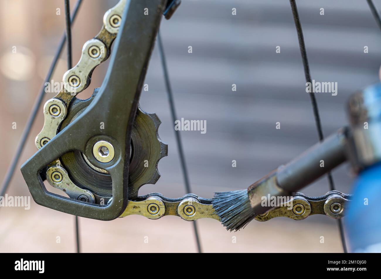 Pulizia della catena di una bicicletta e lubrificazione della catena per una maggiore durata Foto Stock
