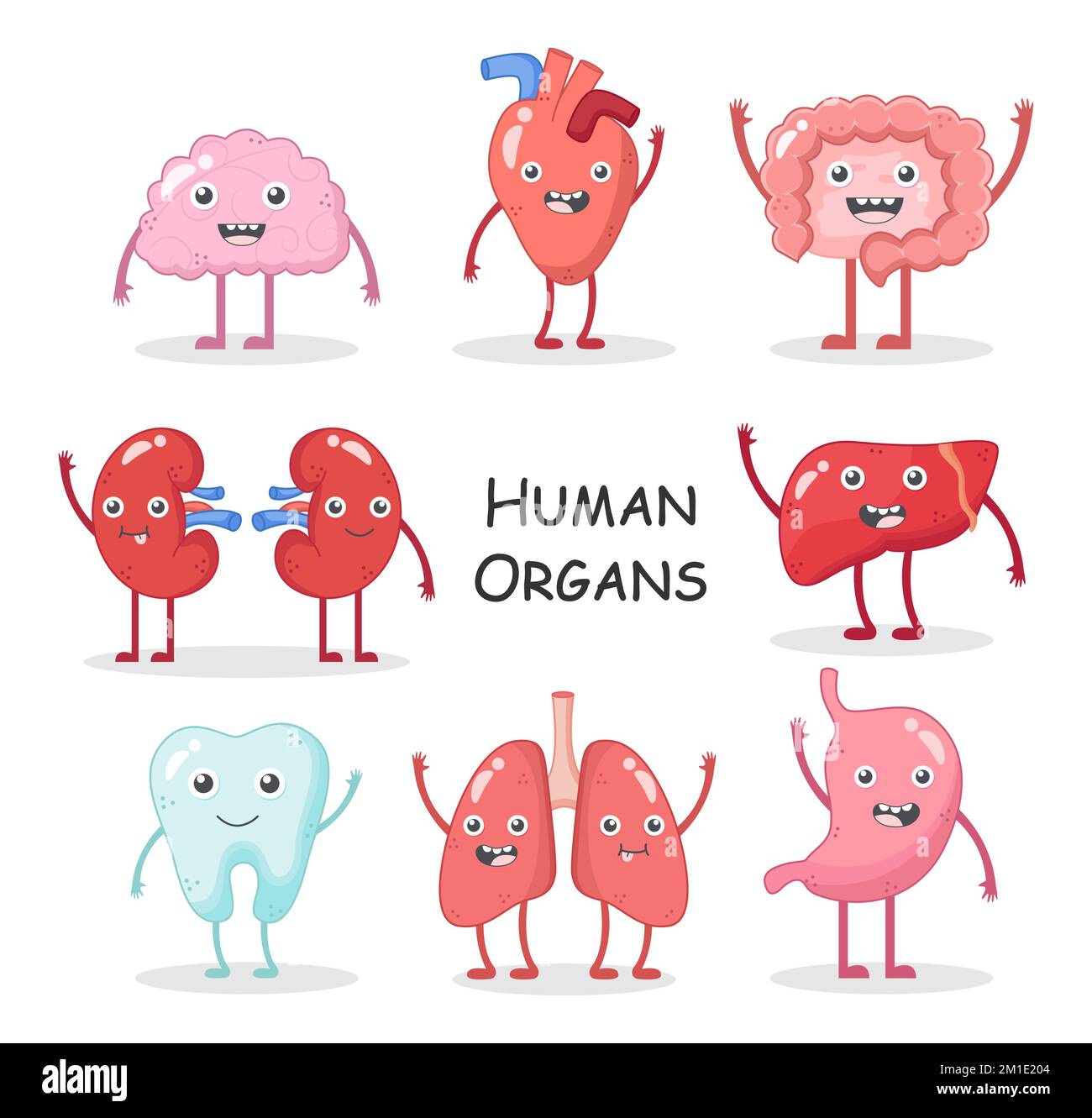 Raccolta di organi umani . Disegno di carattere di cartone animato . Cervello cuore intestino Rene fegato dente polmone stomaco . Vettore Illustrazione Vettoriale