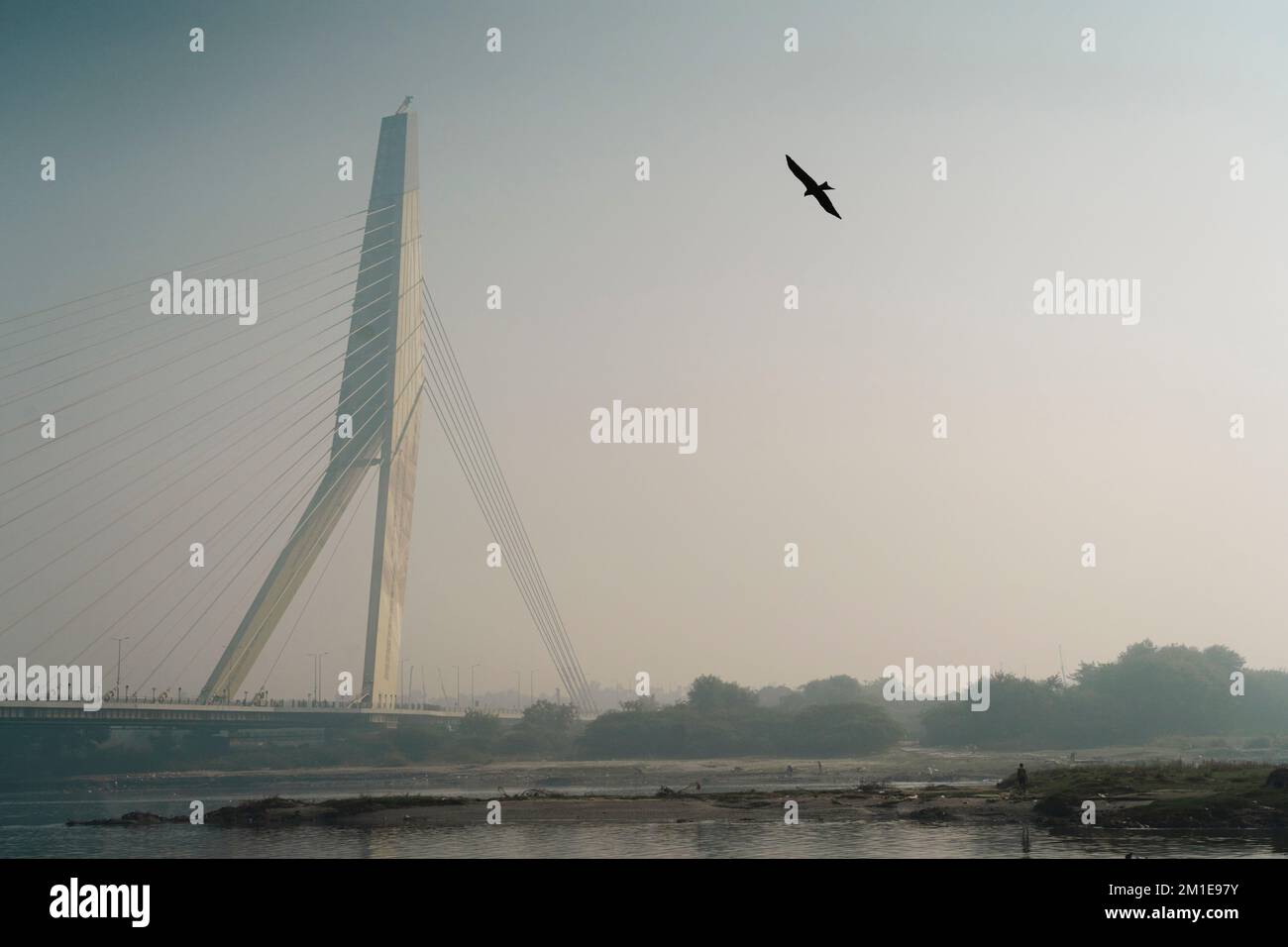 La silhouette di un uccello volante sullo sfondo del Signature Bridge. Delhi, India. Foto Stock