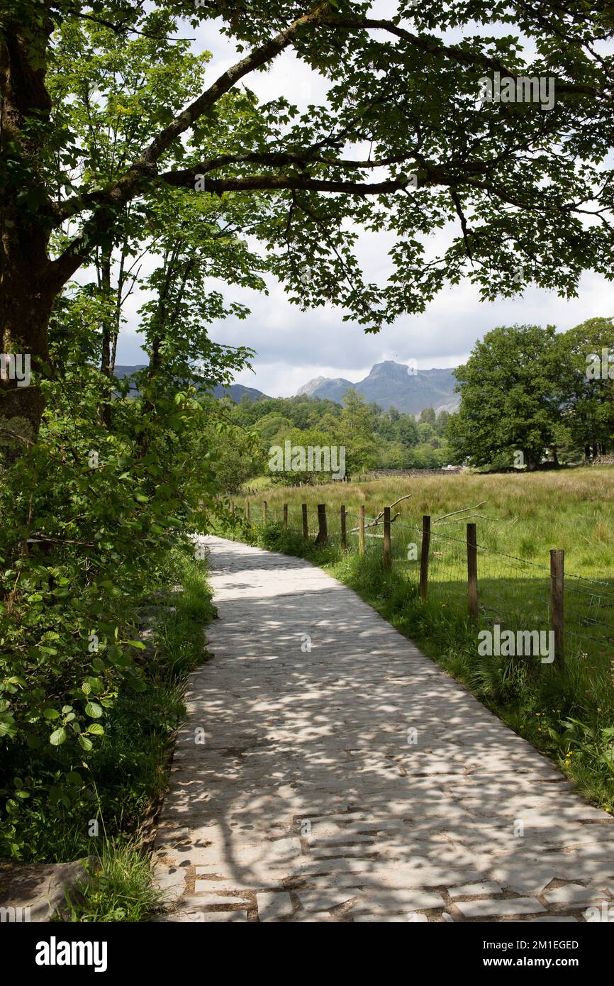 I Langdale Pikes, visti dal sentiero al bordo dell'acqua Elter. Parte del Lake District National Park, Cumbria, Regno Unito Foto Stock