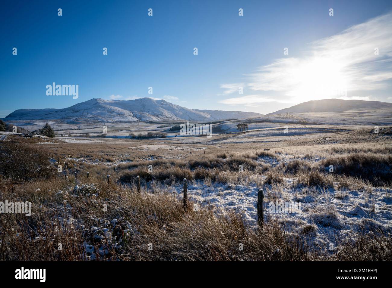Una neve coperta Arenig Fawr, montagna in Snowdonia, Galles del Nord Foto Stock