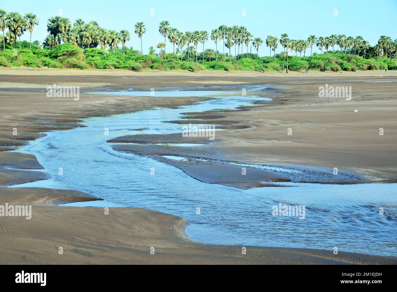 Fiume incontro mare, Bhagal spiaggia, Valsad, Gujarat, India, Asia Foto Stock