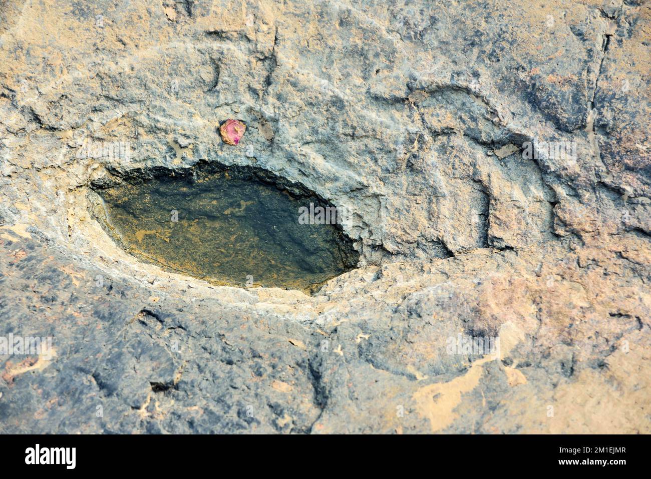 Acqua intrappolata nella roccia, Ghadoi Beach, Valsad, Gujarat, India, Asia Foto Stock