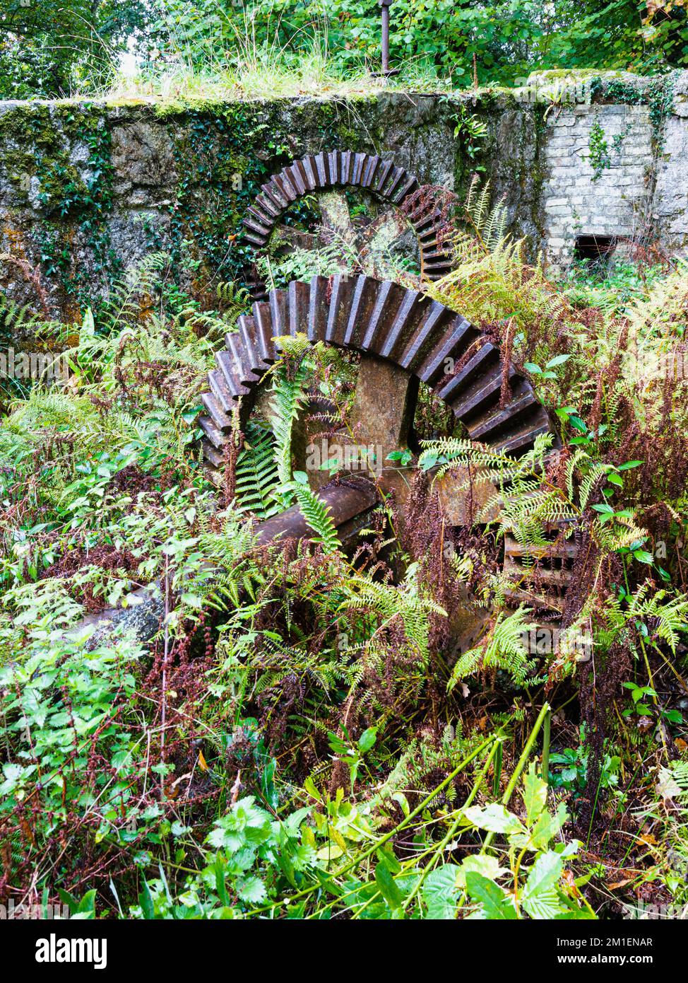 Ruote dentate meccaniche e ingranaggi a Carmears Pit Luxulyan valle, Cornovaglia Foto Stock