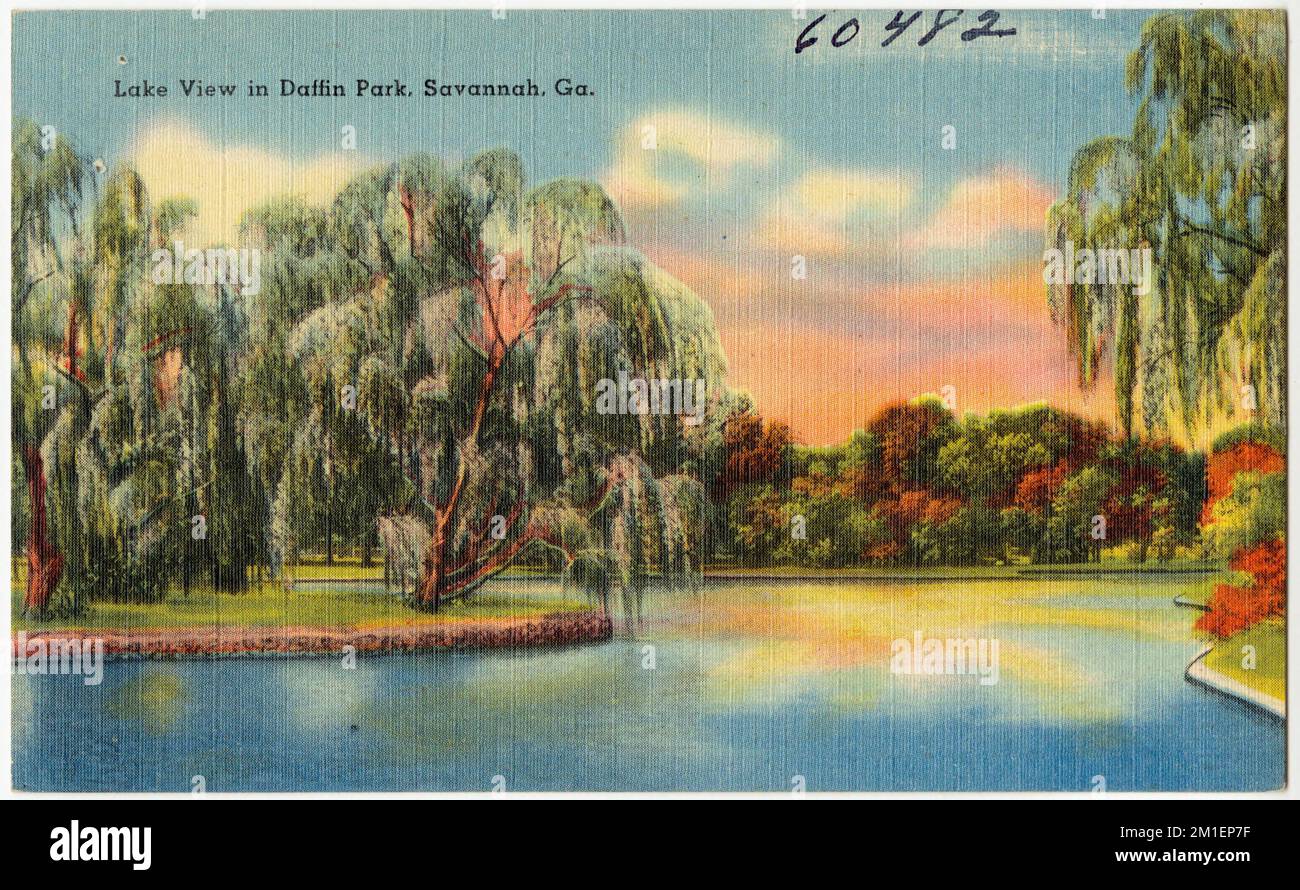 Vista sul lago a Daffin Park, Savannah, GA. , Laghi e stagni, Parchi, Tichnor Brothers Collection, cartoline degli Stati Uniti Foto Stock