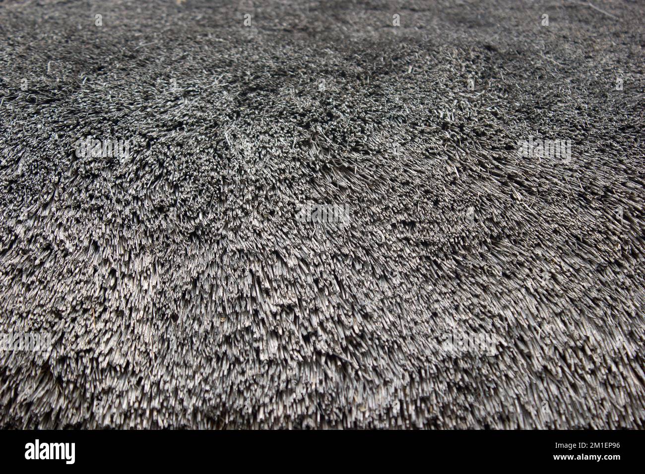 Immagine ravvicinata del tratteggio sul tetto in paglia, utilizzabile come sfondo Foto Stock