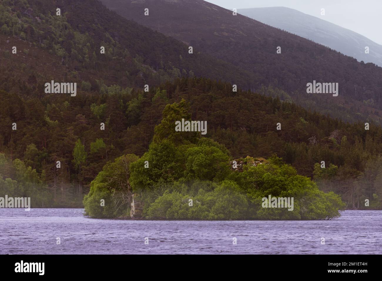 Una piccola isola nel mezzo di un grande corpo d'acqua, Loch an Eilein, Cairngorms National Park, Scozia Foto Stock