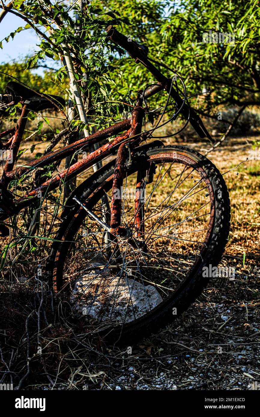 Un colpo verticale di una vecchia bicicletta arrugginita abbandonata in un campo contro alberi verdi Foto Stock