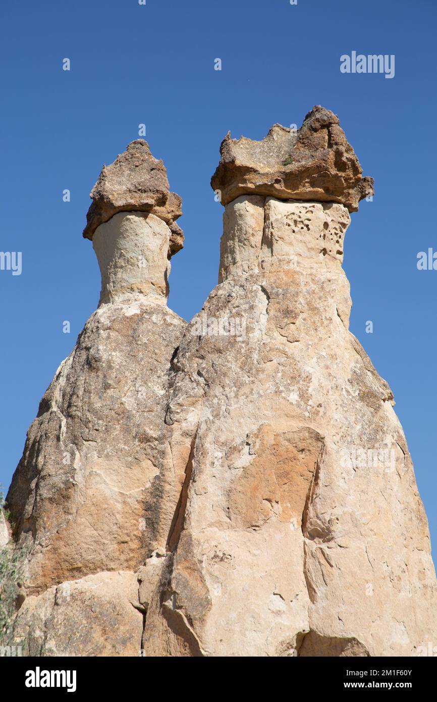 Chimneys delle fate, Valle di Pasabag (Valle dei Monaci), Provincia di Nevsehir, Regione della Cappadocia, Turchia Foto Stock