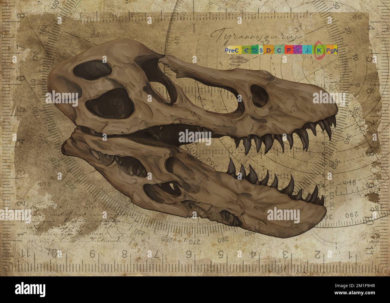 Tyrannosaurus T Rex Dinosaur Skull Art Study Old Textured Paper Vintage Geometrical Poster Foto Stock