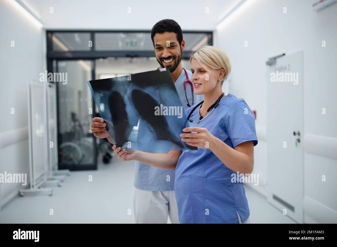 Medico in gravidanza che controlla l'immagine radiografica con la sua collega nel corridoio dell'ospedale. Foto Stock