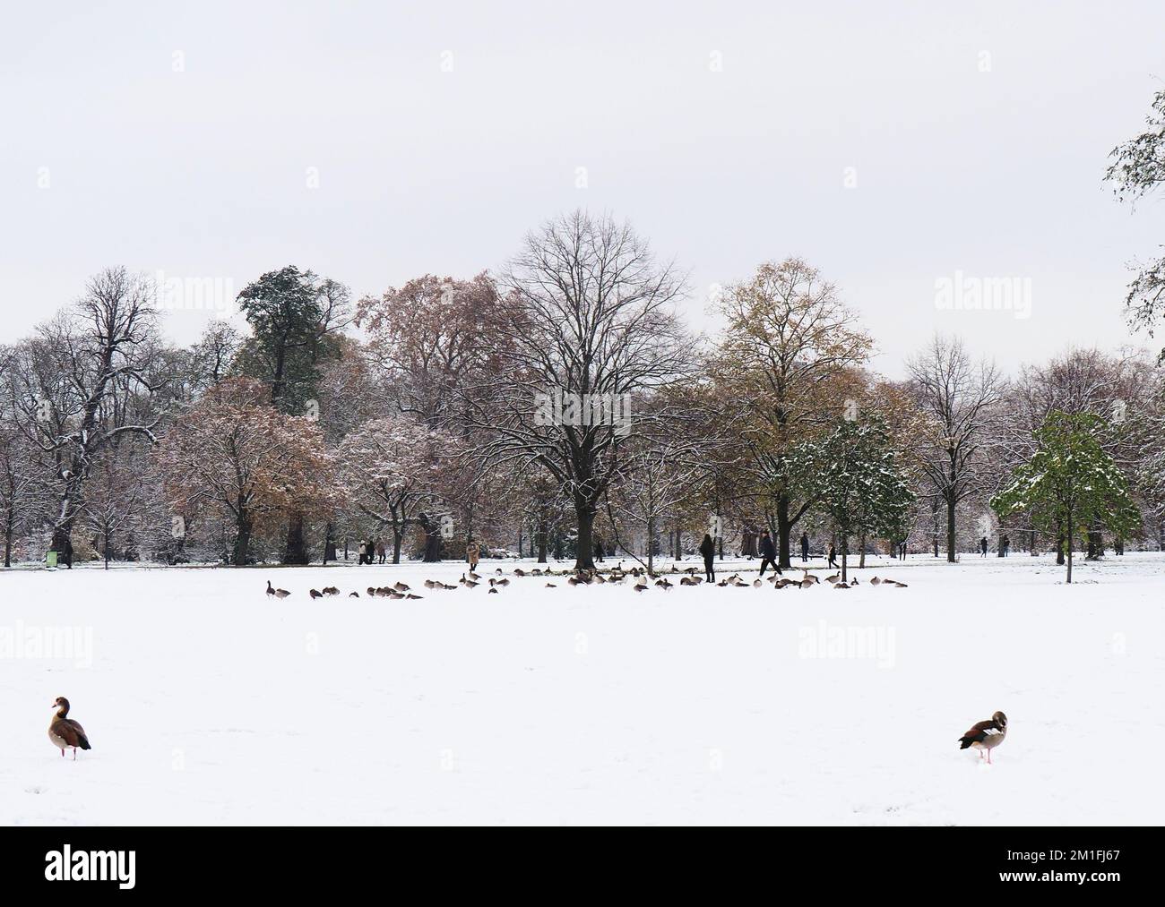 Londra, Regno Unito. 12th Dec, 2022. Forti cadute di neve su Central London Credit: Brian Minkoff/Alamy Live News Foto Stock
