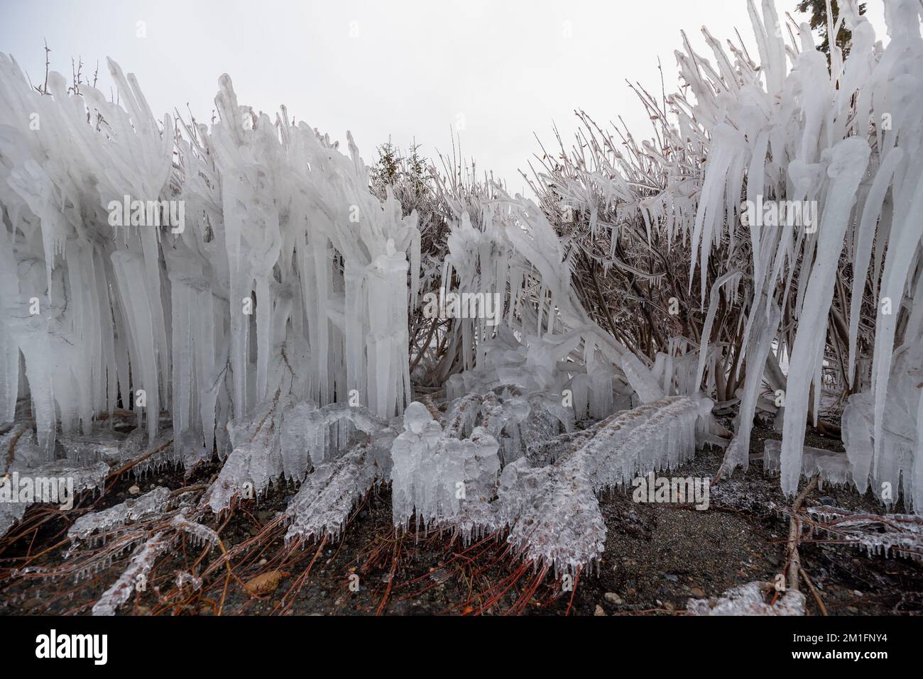 Tramonto su un lago ghiacciato nel nord del Canada all'inizio dell'inverno. Foto Stock