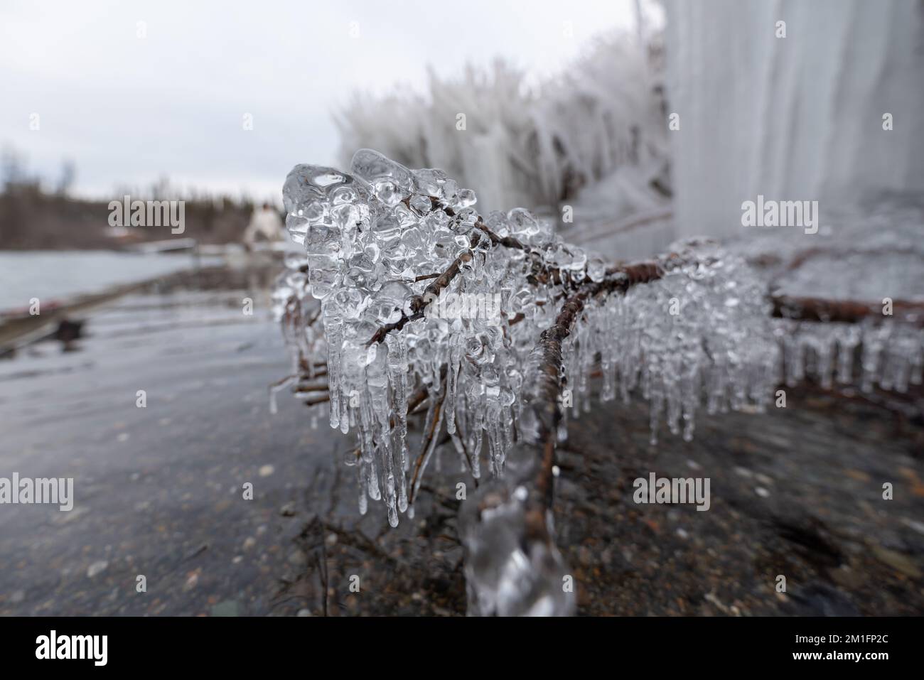 Spiaggia ghiacciata del lago, bella e unica nel artico all'inizio dell'inverno. Foto Stock