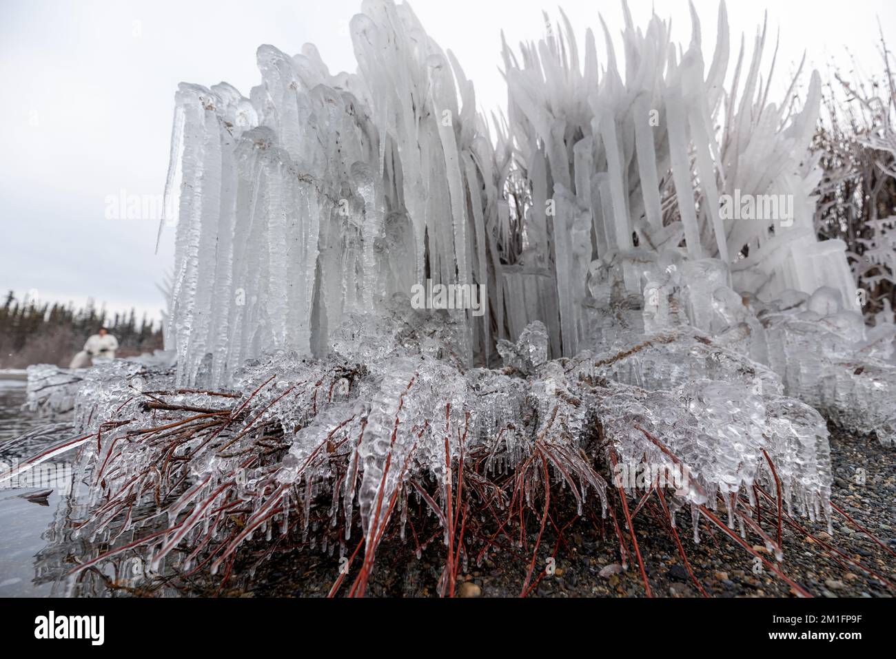 Spiaggia ghiacciata del lago, bella e unica nel artico all'inizio dell'inverno. Foto Stock
