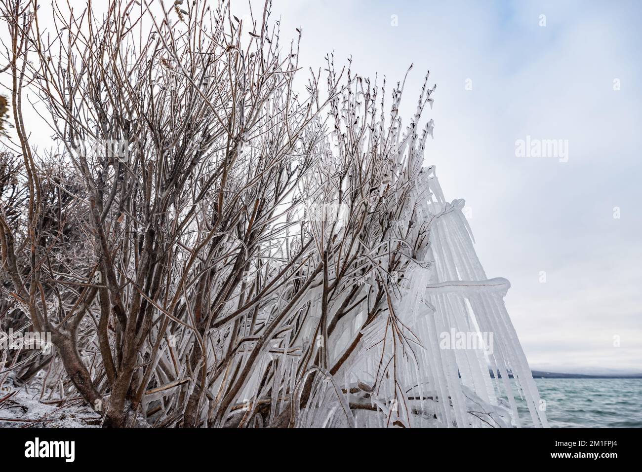 Spiaggia ghiacciata del lago, bella e unica nel artico all'inizio dell'inverno. Foto Stock