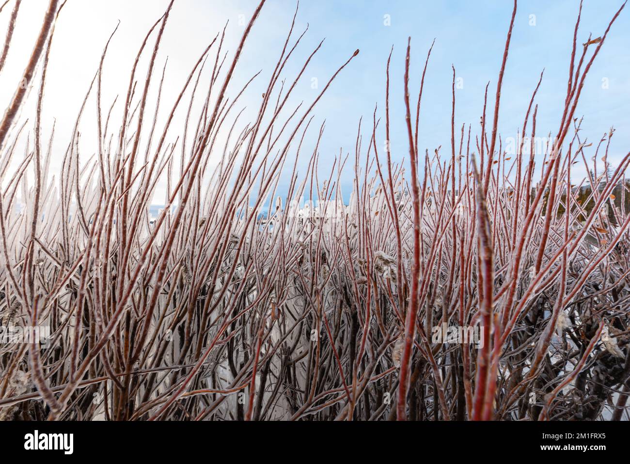 Tramonto su un lago ghiacciato nel nord del Canada all'inizio dell'inverno. Foto Stock