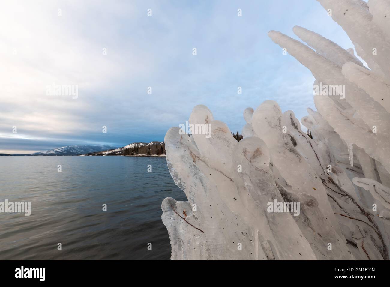 Incredibili formazioni di ghiaccio gocciolanti create naturalmente sul lato di un lago nel Canada settentrionale. Foto Stock
