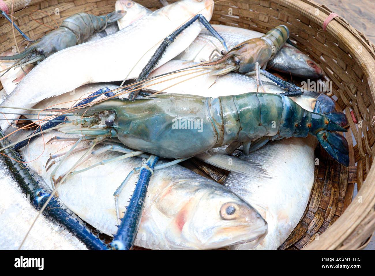 Gustosi e sani gamberetti giganti e pesce lilla in negozio per la vendita Foto Stock