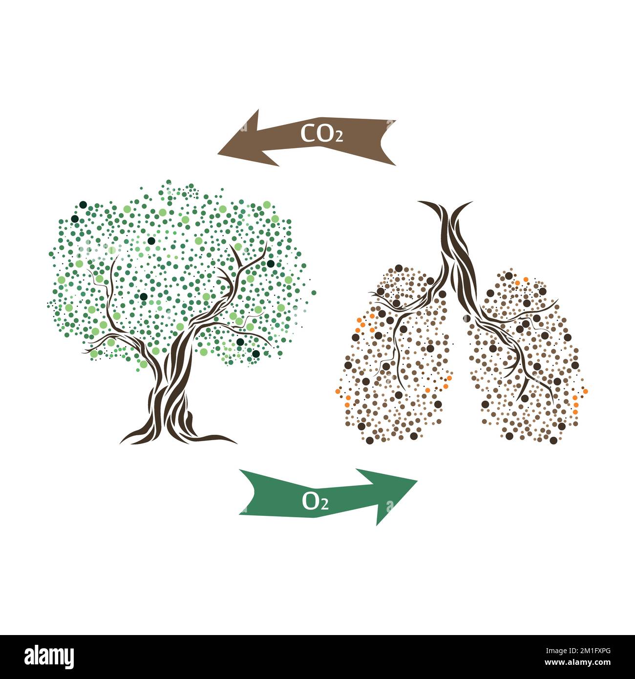 Rami dell'albero come i polmoni. Un polmone senza foglie, l'altro con foglie. Illustrazione Vettoriale
