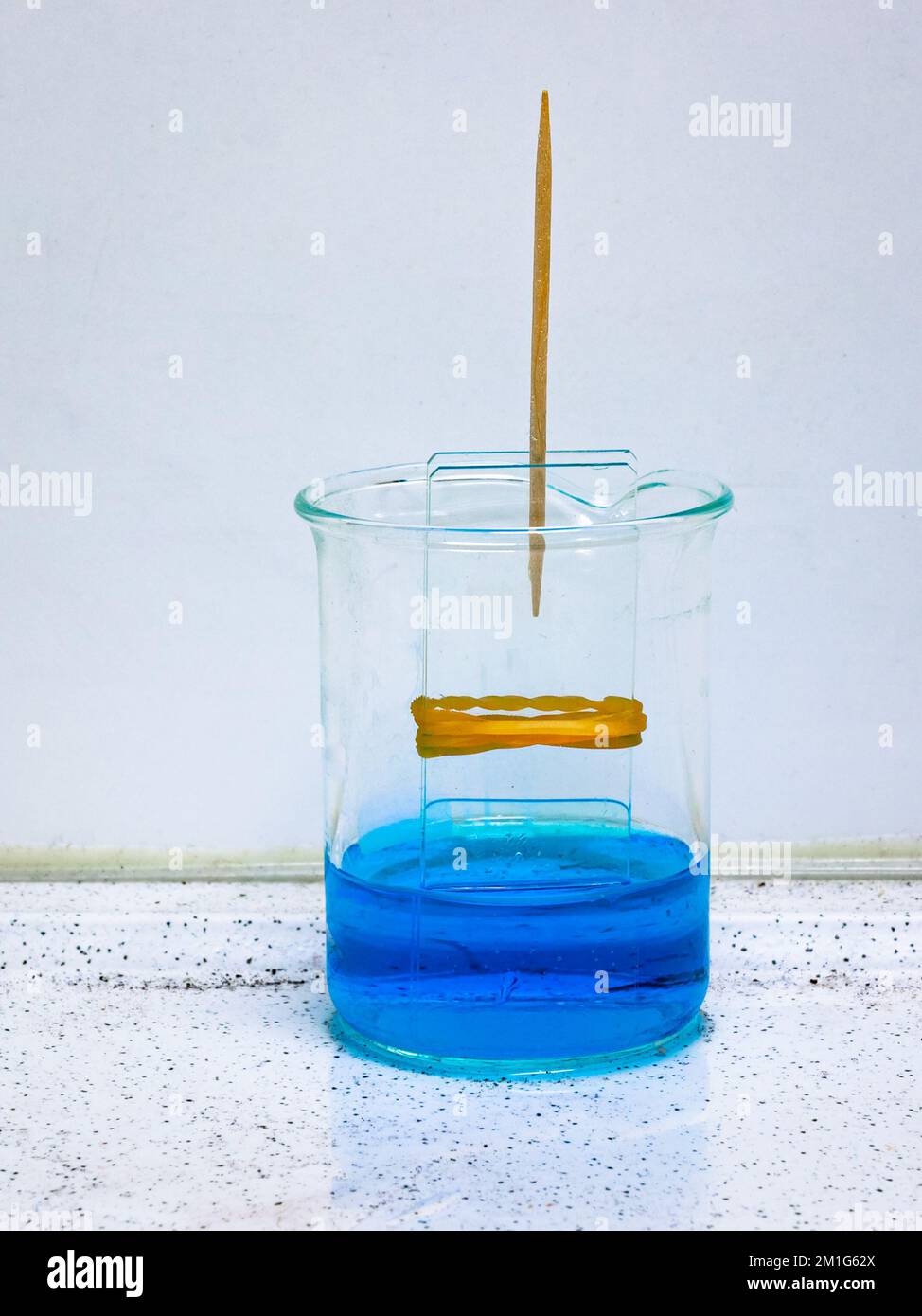 Un liquido di colore blu in un vetro viene aspirato tra due lastre di vetro per azione capillare. Esperimento scientifico, utilizzato nella classe di fisica. Foto Stock