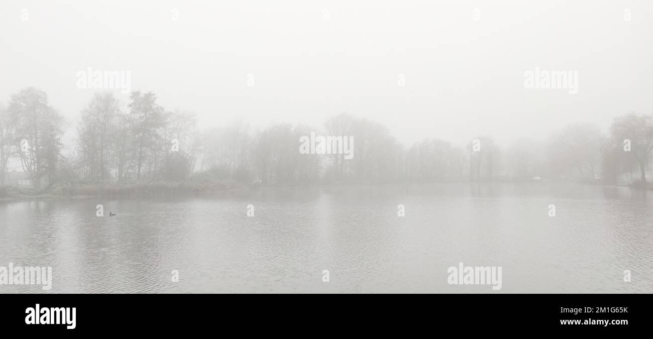 Immagine panoramica della nebbia vicino alla riva di un lago in una mattinata autunnale nei Paesi Bassi. Foto Stock