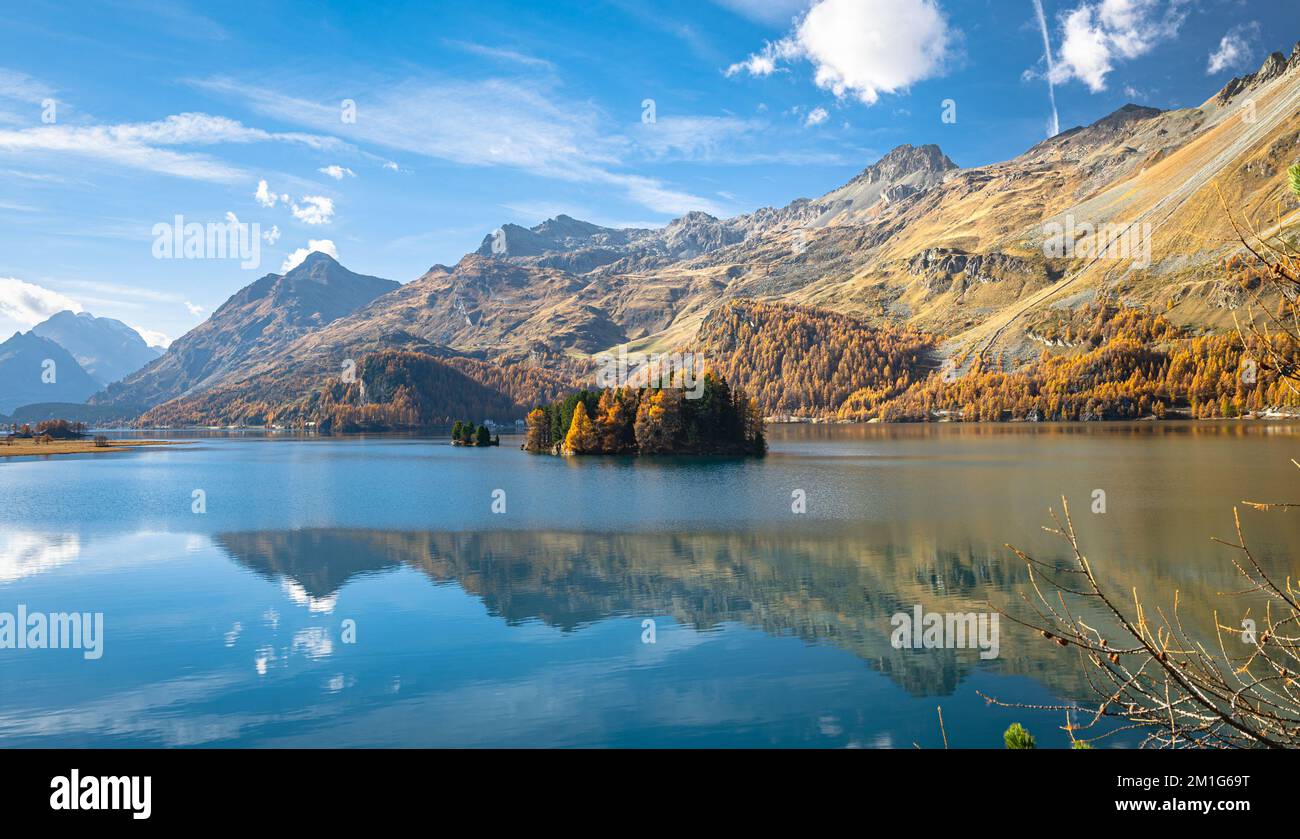 Splendidi riflessi di montagne ricoperte di larici dorati nel lago Sils, un lago della valle dell'Engadina, Graubünden, Svizzera. Foto Stock