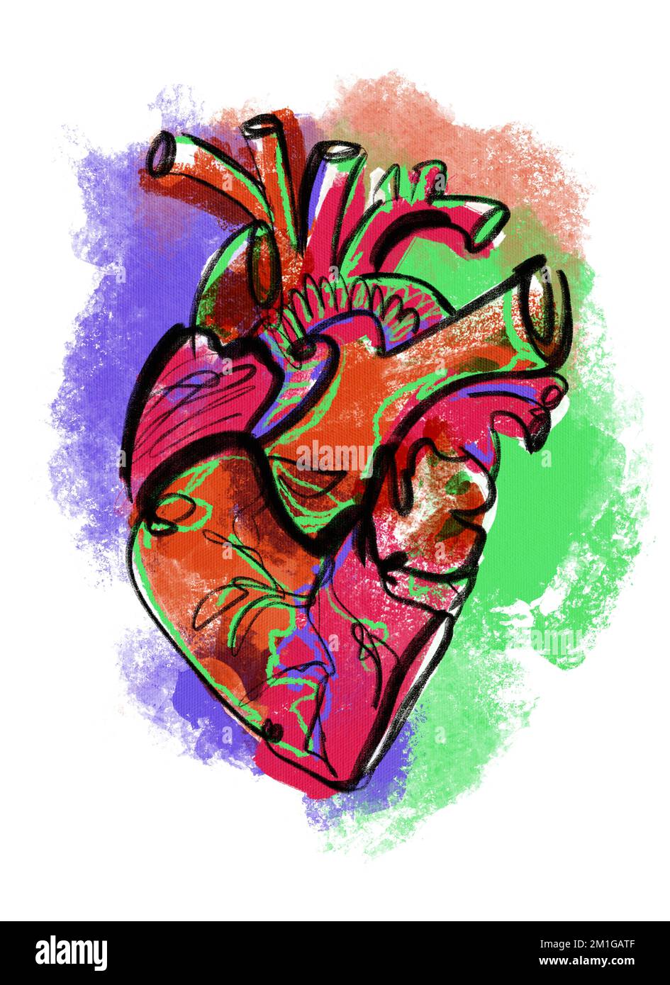 Astratto moderno luminoso cuore anatomico. Poster isolato d'arte degli organi. Straordinari arrangiamenti astratti Foto Stock